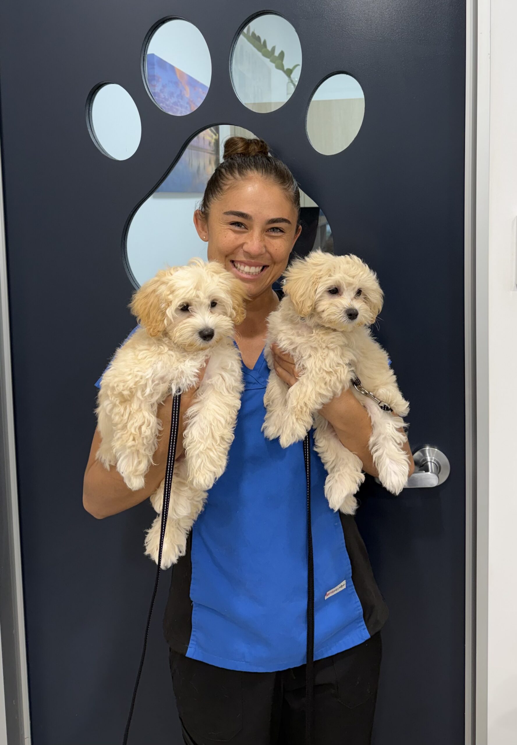 Northern Beaches Vet - Our Team - Tatihanna