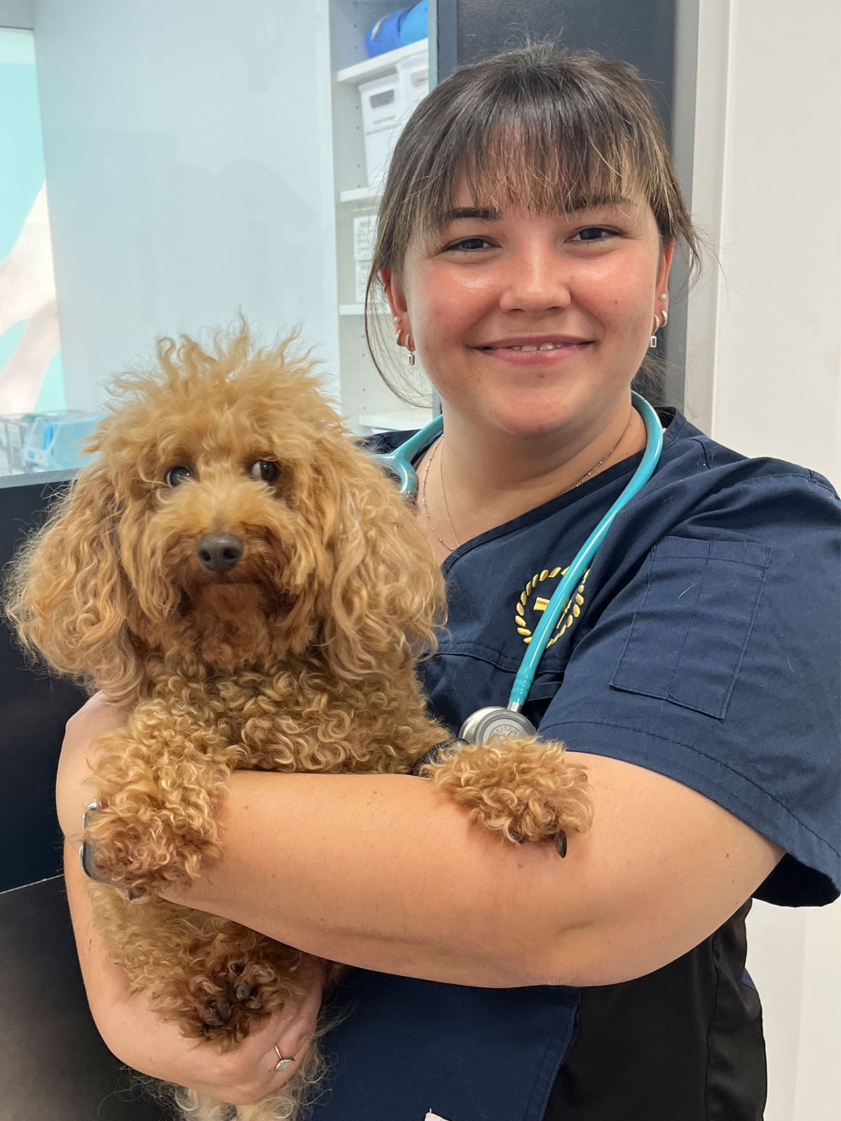 Northern Beaches Vet - Our Team - Dr Kirsten