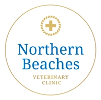 Northern Beaches Veterinary Clinic