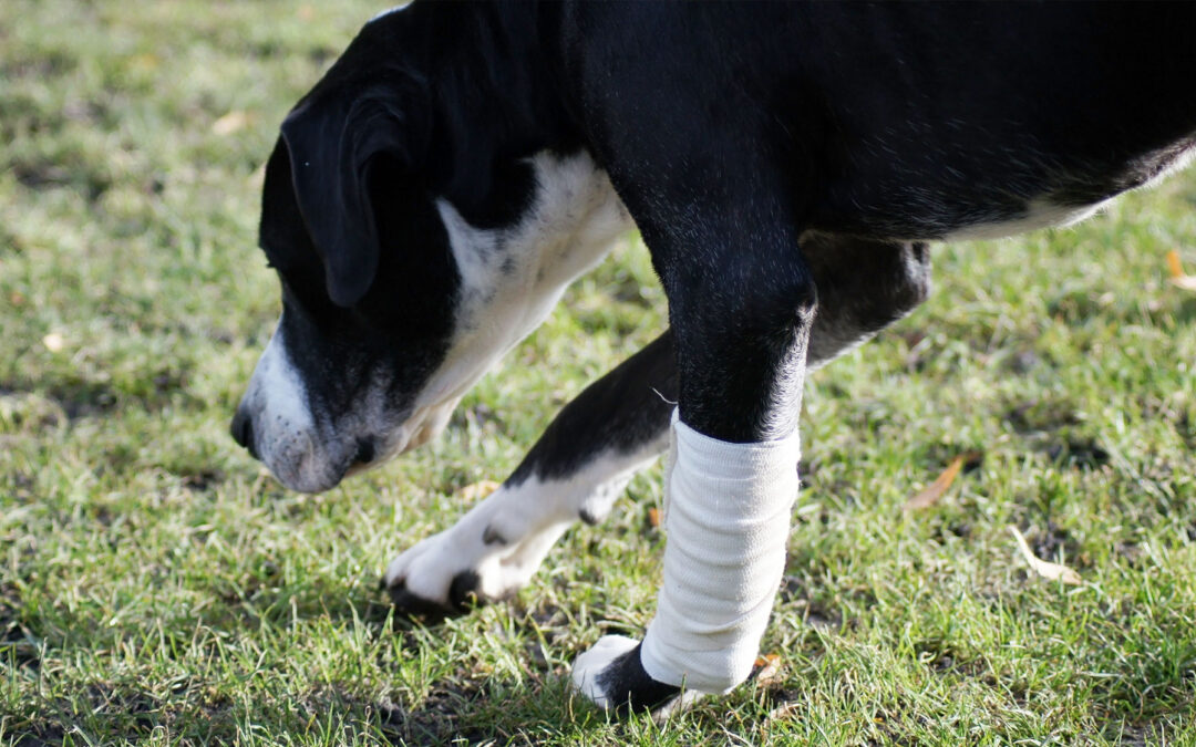 Complex Medical Cases