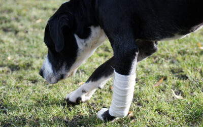 Complex Medical Cases