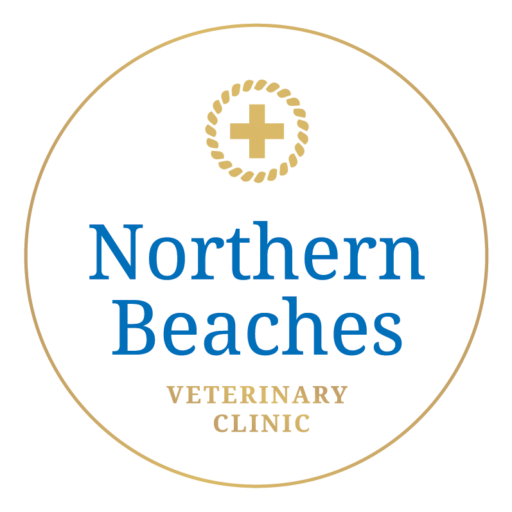 Northern Beaches Veterinary Clinic
