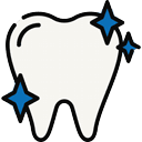 Vet Yorkeys Knob - Pet Dentistry